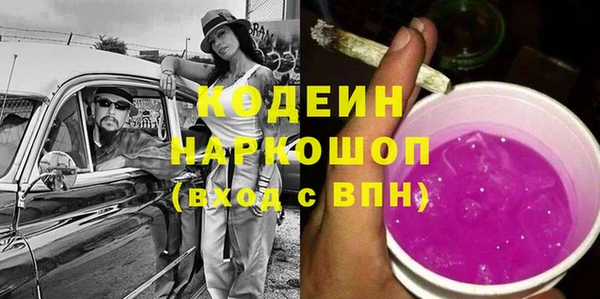 шишки Лагань