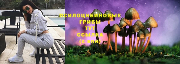 шишки Лагань