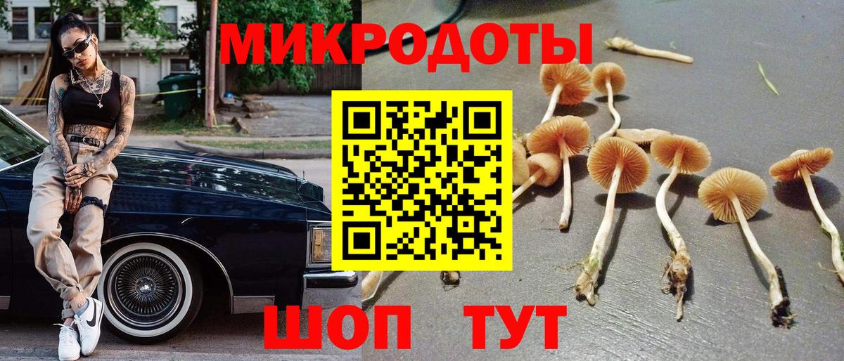 Галлюциногенные грибы мухоморы Белореченск