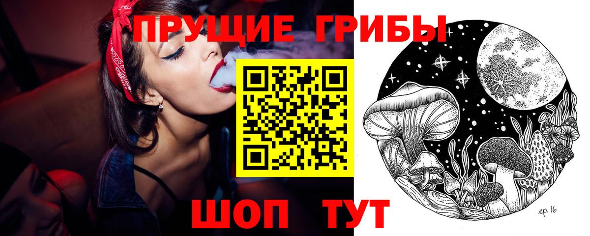 Белореченск  Псилоцибиновые грибы Psilocybe  Вход с VPN 